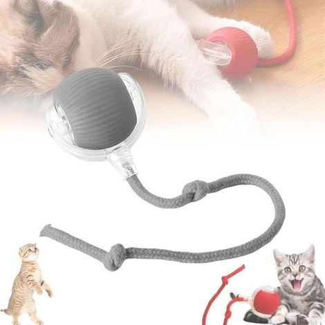 Balle roulante Pet Smart pour chat, balle électrique pour chat, balle d'auto-divertissement, jouet interactif multicolore pour chat (1/4)