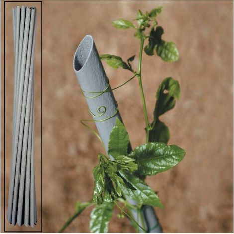 20 x CANNETTA PVC P/PIANTE VIGNA D 27XH210 CM