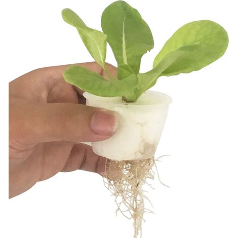 Ensemble panier de plantation + éponge, dispositif de fixation des racines pour la culture hors-sol de légumes-feuilles et de fruits. Panier de culture hydroponique rond, blanc. (1/5)