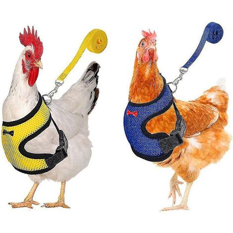 2-piece chicken harness and leash, modified adjustable breathable harness specially designed for chicken duck goose training and walking, (1/5)