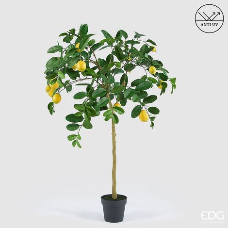 EDG Enzo De Gasperi Limone Anti-UV x14 con Vaso Pianta Artificiale H 148 Cm Verde Giallo