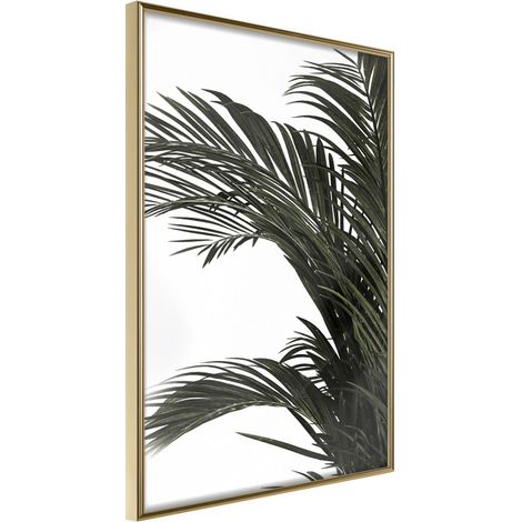 Affiche Murale Encadrée "Jungle Scent" 30 x 42 cm Or