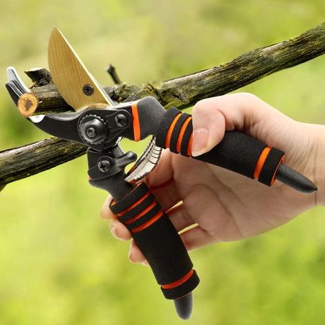 Forbici da giardino, cesoie, cesoie da giardino per rami, siepi e fiori, cesoie a bypass (1/5)