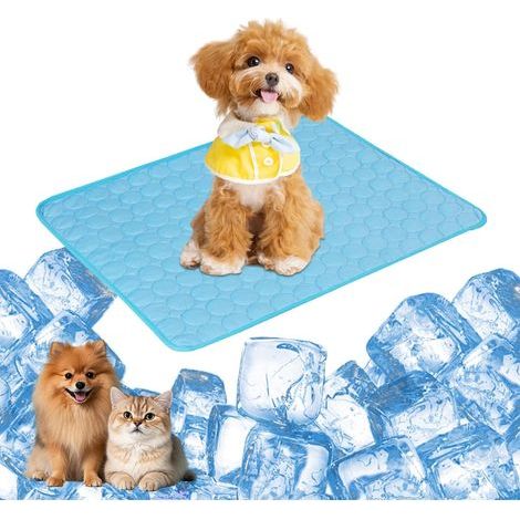 Kühlmatte für Hunde, Haustier-Kühlmatte, Eismatte, geeignet für Katzen und Hunde, 70 x 55 cm, blau (1/5)