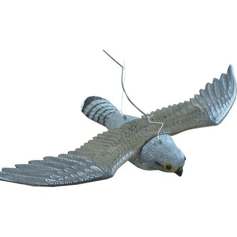 Pluvia Águila Voladora 58x35x10 Ref 501