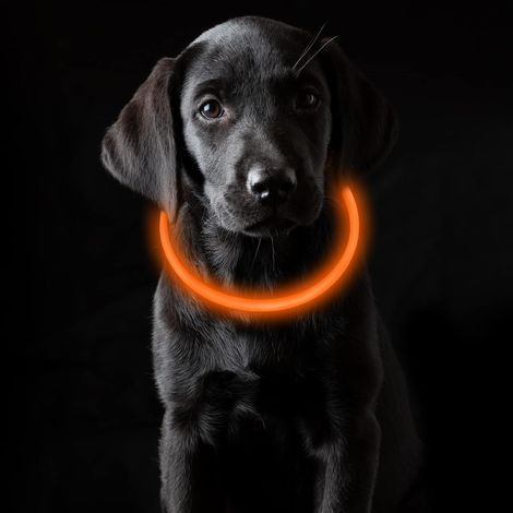 Adjustable 70cm USB Rechargeable Waterproof Light-Up Collar with 3 Light Modes (Orange), Suitable for Small, Medium, and Large Dogs and Cats (1/5)