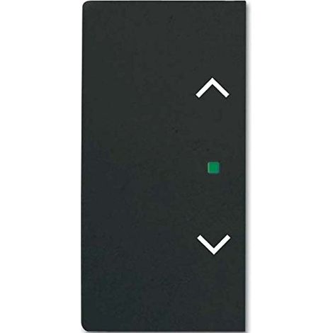 BUSCH-JAEGER BASCULE SW MT SÉRIE 623220885 EAN: 4011395203378 2CKA006220A0505