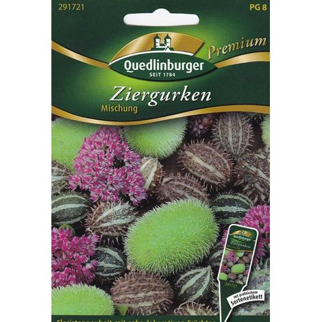 Quedlinburger Ziergurken Mischung - Blumensamen (1/2)