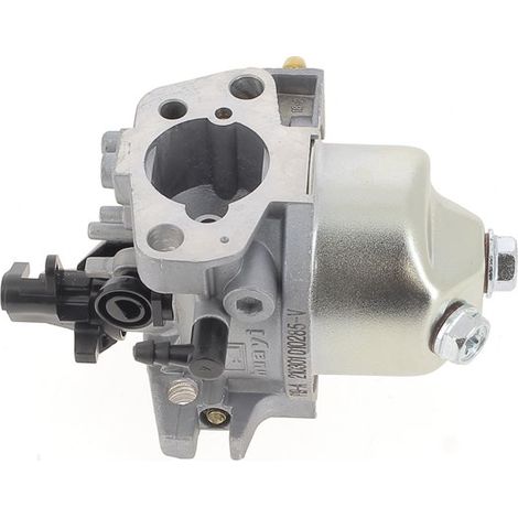 Carburatore per tosaerba einhell (1/4)