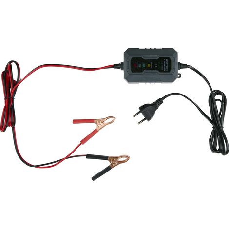DUNLOP Chargeur d'Entretien 6/12V 230V - Maintien Batterie Auto & Camion, Détection Automatique et Sécurisée