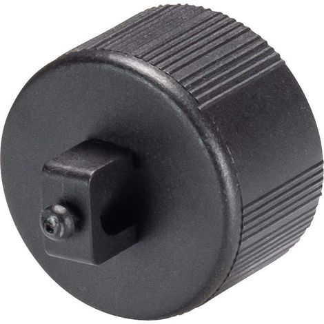 Wieland Mini RST16i3/2 Verschlussstück Kodierung schwarz