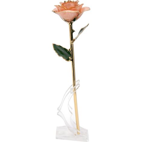 Vergoldete Rose (24 Karat vergoldet) mit Ständer – ideal für Valentinstag und Jahrestag (Rosa) (1/5)