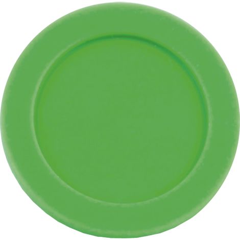 Pumpenmembran für Sprühgerät Typ 104/08 Rau, grünes Silikon 010008K