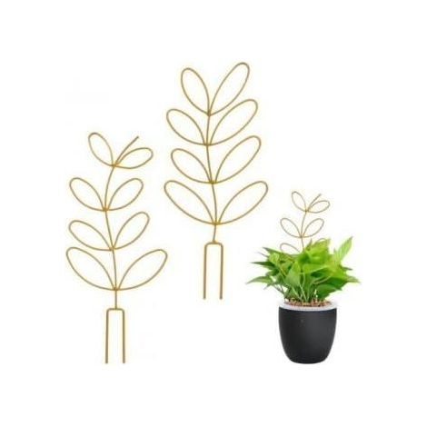 Set of 2 indoor plant supports - Golden metal trellis for climbing plants (1/4)