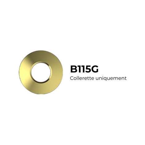 Collerette Or ronde magnétique pour TWO et CANIS - B115G - SOLUM