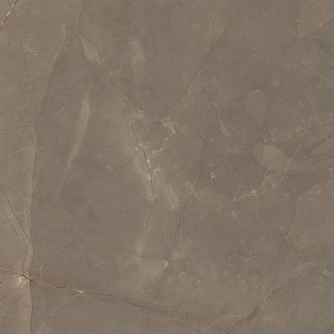 Grès Cérame Effet Marbre Naturel Brun Mat Rt 60X60 - EAOD1510 (Ceramishop.fr) (1/5)