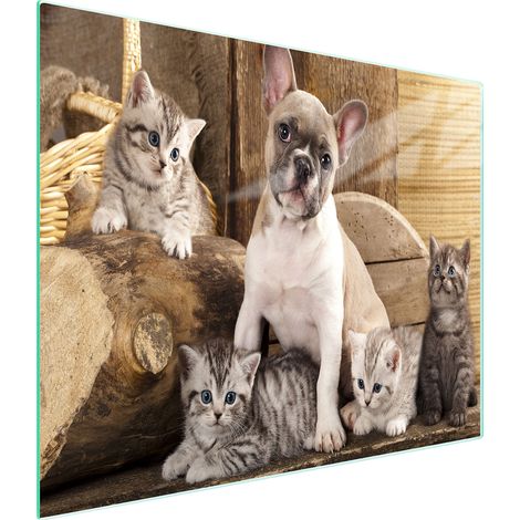 TABLA DE CORTAR DE VIDRIO 52x30 PERRO (1/5)