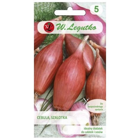 Zebrune Schalottenzwiebel 2 g Legutko-Samen