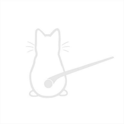 Autocollant pour voiture chat, carrosserie, vitre arrière, décoration automobile (1/5)