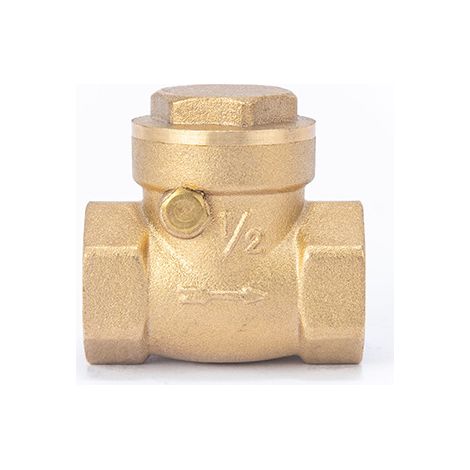 1pcs clapet anti-retour de robinet de collecteur d'eau, clapet anti-retour pivotant Dn15 1/2 femelle en laiton clapet anti-retour d'eau clapet anti-retour à filetage à sens unique pour empêcher le ref (1/3)
