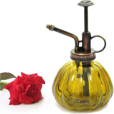 1 brumisateur arrosoir vintage en verre et laiton avec pompe sur le dessus, pour fleurs de bonsaï, style rétro (1/5)