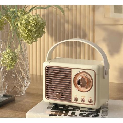 Enceinte Bluetooth - Portable Rétro - Radio FM Intégrée - 360° Son Stéréo - 1 Pièce (1/3)