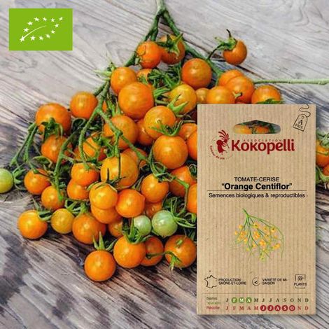Tomate-Cerise Orange Centiflor