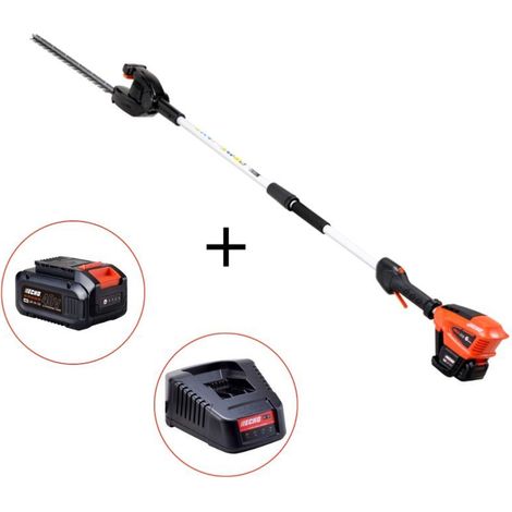 Pack taille-haie sur perche à batterie Echo DHCA310, batterie 2Ah et chargeur (1/5)