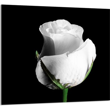 Panneau de verre pour cuisine 65x60 Rose (1/5)