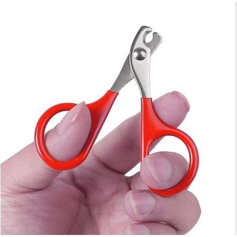 Ciseaux à ongles pour chat coupe-ongles pour chien de compagnie tondeuse à griffes d'orteil produits de toilettage professionnels pour petits chiots CatRed (1/2)