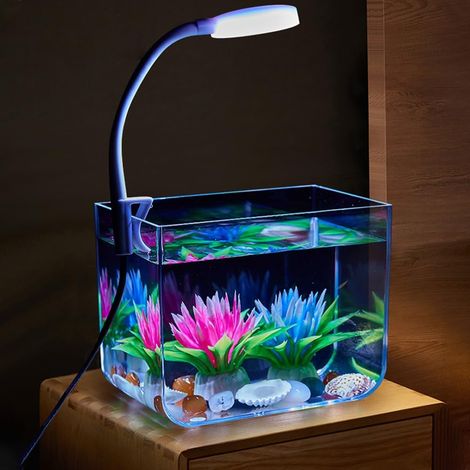 1 Aquarium, Polystyrène, Lampe de serrage 3W, Transparent, Design carré, Salon, Bureau