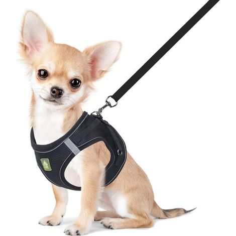 Harnais Petit Chien Chat Harnais Veste en Mesh Doux Réfléchissant Réglable Ensemble Gilet de Chiot et Laisse pour Chiens de Taille Petits et Moyens (1/5)