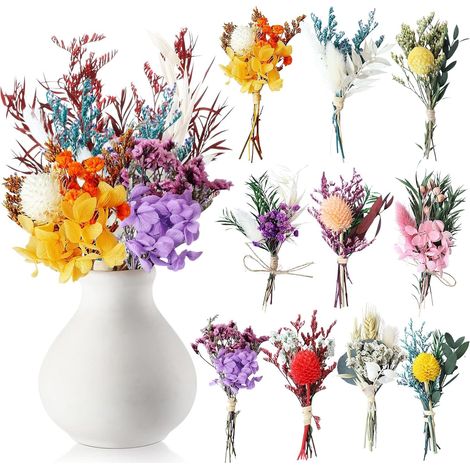 10 Pièces Petit Bouquet Fleurs Séchées Mini Bouquet Fleurs Séchées (1/5)