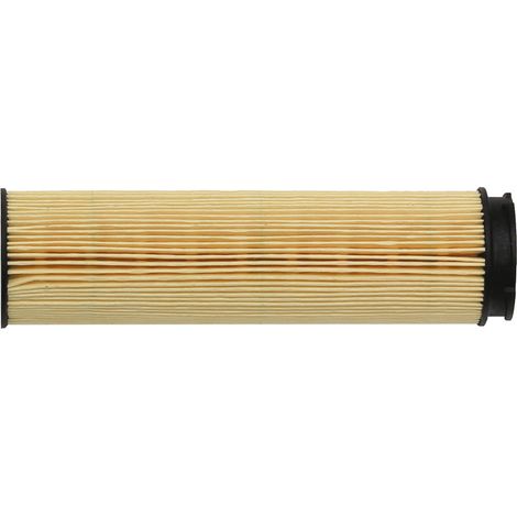 Vaillant Cartouche de rechange de filtre à huile MC 18 pour robinetterie de filtre à mazout, 0020023135