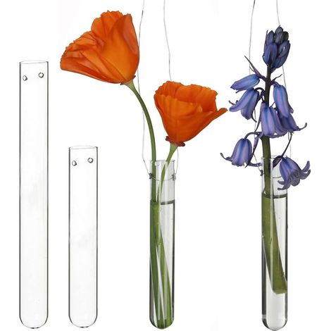 Vases Tubes à Essai en Verre à Suspendre, 15 cm (1/5)