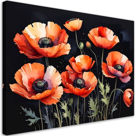 Image sur Toile, Fleurs de coquelicots sur fond noir,30x20 (1/4)