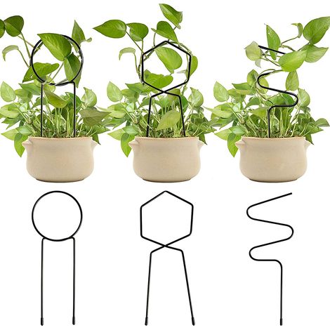 3 Supports Métalliques pour Plantes Grimpantes - Treillis en Fer pour Lierre, Rosiers et Plantes d'Intérieur (1/5)