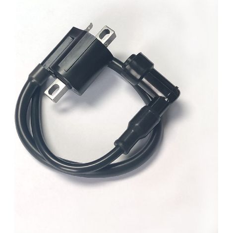 Bobine d'allumage pour moto Yamaha YFM 350 Warrior California 1998-2003 (1/4)