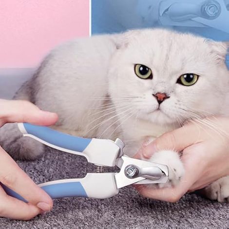Coupe-griffes pour chat, coupe-griffes professionnel, coupe-griffes avec lime intégrée, coupe-griffes de sécurité, coupe-griffes pour chiots, lapins, hamsters, oiseaux et petits animaux, bleu (1/3)