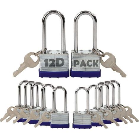 Lot de 12 Cadenas à Clé Identique Acier Laminé Antirouille 40mm pour Casier Clôture Portail (1/4)