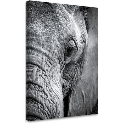 Impression sur Toile, Éléphant africain noir et blanc,20x30 (1/4)