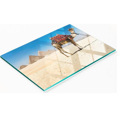 Stilvolle und robuste Glasplatte mit Kamelmotiv in Kairo, 80 x 52 cm (1/5)