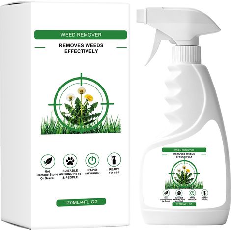 Herbicide for home and garden, aesthetically pleasing, sprayed selectively in gravel path cracks and on stone surfaces to reduce weeds. (1/5)