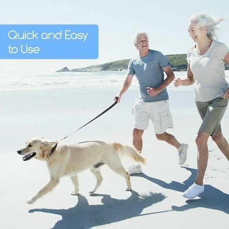 Longe pour Chien 15m, Laisse de Dressage pour Chien pour Chiens de Petites à Grandes Taille (1/3)