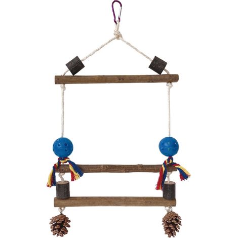 Cage à oiseaux avec aire de jeux, échelle d'escalade et structure pour perroquets de compagnie (1/5)