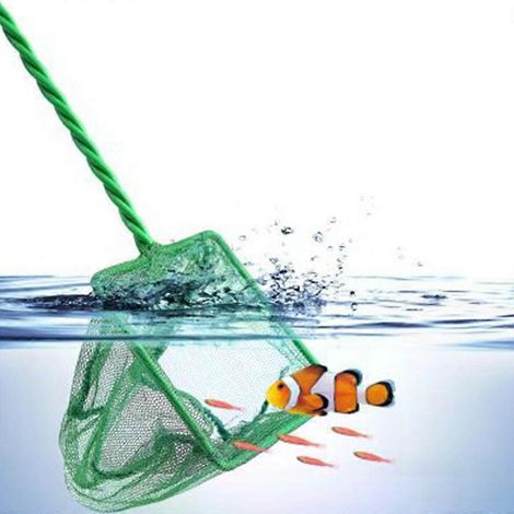 Accessoires pour aquarium, épuisettes (rondes, carrées, télescopiques) (1/5)