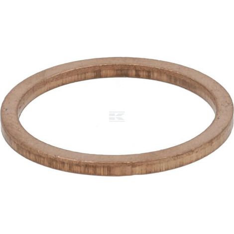 Dichtring ZF 0634801200