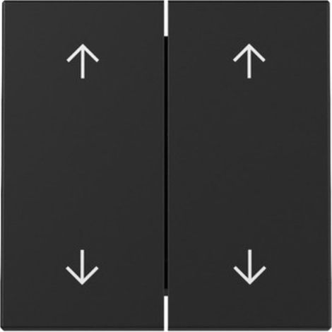 Schalter Gira 3297005 Pfeile 2 Tasten schwarz