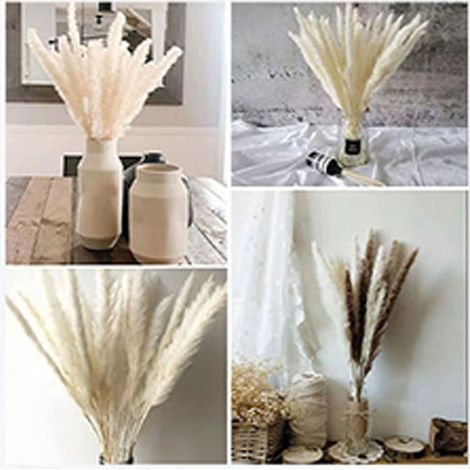 30 brins de roseau blanc séchés en deux bouquets, une décoration de Noël à faire soi-même, un plumeau en roseau, un bouquet de fleurs séchées. (1/5)