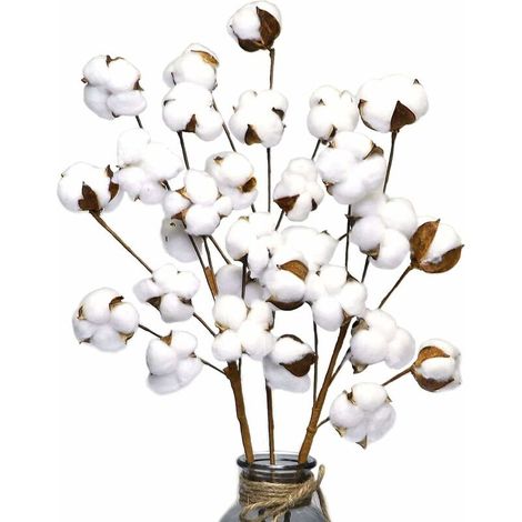 3 paquets de 10 fleurs artificielles en coton séché-AquaForge (1/4)